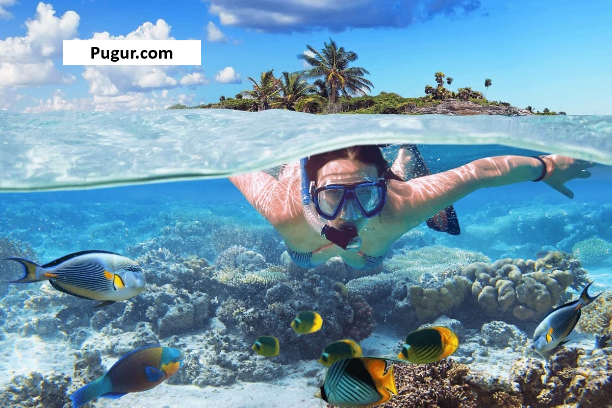 Agrowisata dan Ekowisata di Bangka Belitung: Menjual Pengalaman Unik