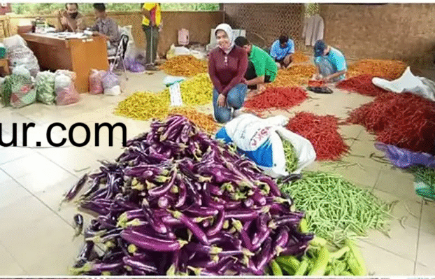 Dropship Barang Tani ke Pasar Kota: Peluang Usaha Segar dari Desa ke Meja Makan