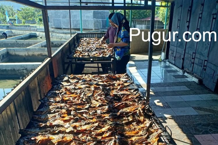 Produksi Olahan Ikan Asap & Ikan Kering: Peluang Usaha untuk Pasar Tradisional dan Online