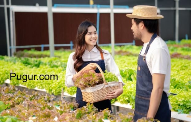Kemitraan Usaha Pertanian (Bibit & Alat Tani): Model Franchise untuk Petani Lokal