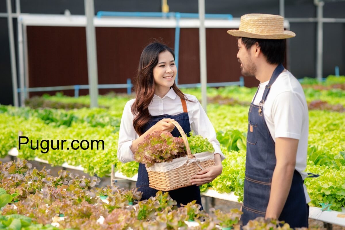 Kemitraan Usaha Pertanian (Bibit & Alat Tani): Model Franchise untuk Petani Lokal