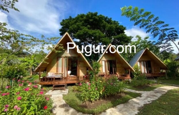 Homestay / Kos Harian Dekat Wisata: Ubah Rumah Kosong Jadi Ladang Bisnis