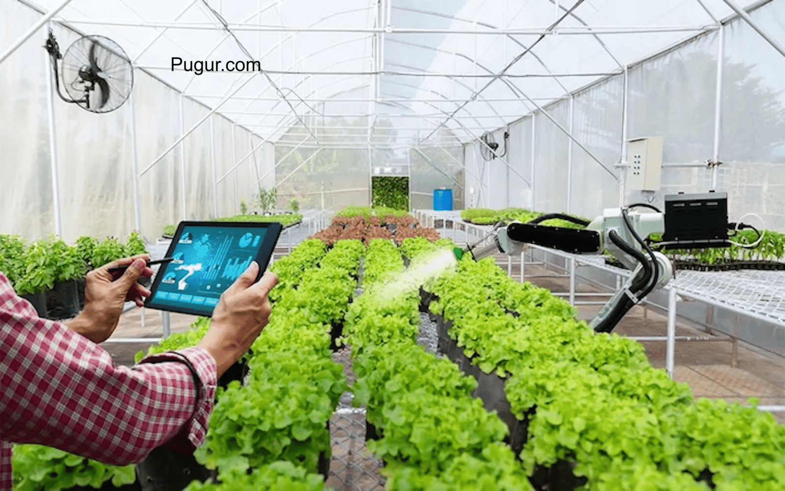 Pertanian Sensor IoT & Smart Farming Koperasi: Digitalisasi Pertanian Desa untuk Masa Depan