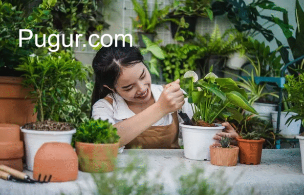 Bisnis Persemaian Bibit Buah & Tanaman Hias: Peluang Menjanjikan di Tengah Tren Hobi Berkebun