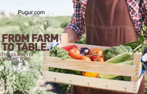Pertanian Organik Digital: Sinergi Farm-to-Table untuk Pasar Urban