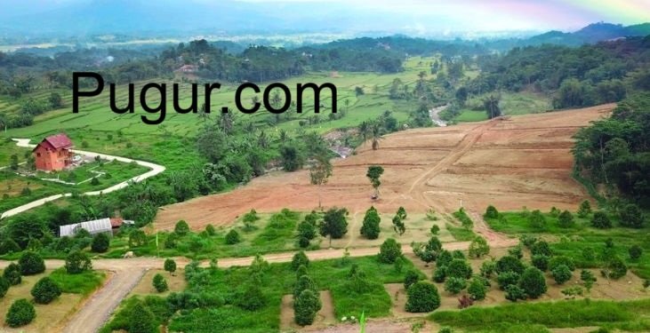 Investasi Kavling Kebun: Menyulap Lahan Jadi Destinasi Agro-Wisata