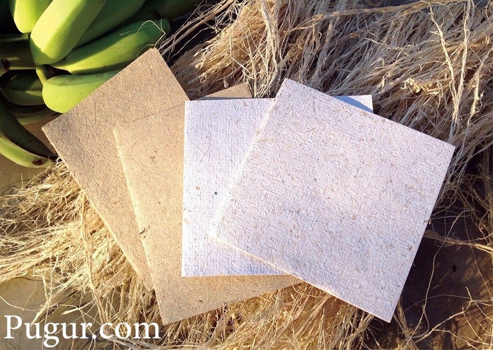 Produksi Eco-Packaging Kertas dari Serat Pisang dan Jerami