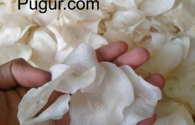 Produksi Keripik Lokal Unik (Singkong, Pisang, Gadung) untuk Pasar Modern