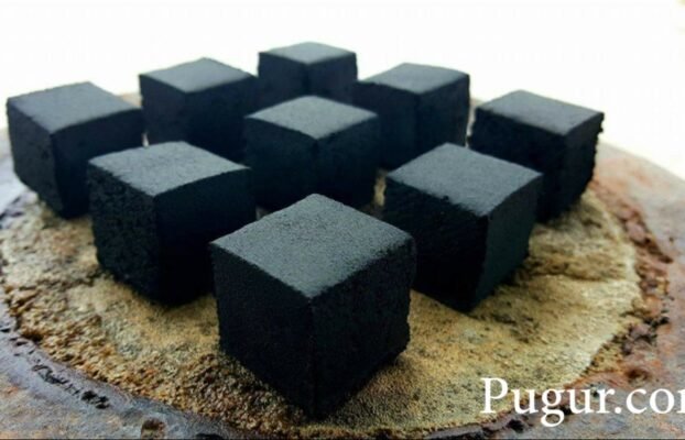 Bisnis Pengeringan & Pengolahan Limbah Organik Jadi Briket Biofuel
