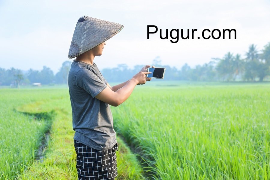 Pertanian Pintar (Smart Farming) untuk Pemuda Desa: Inovasi Menuju Kemandirian dan Kemakmuran