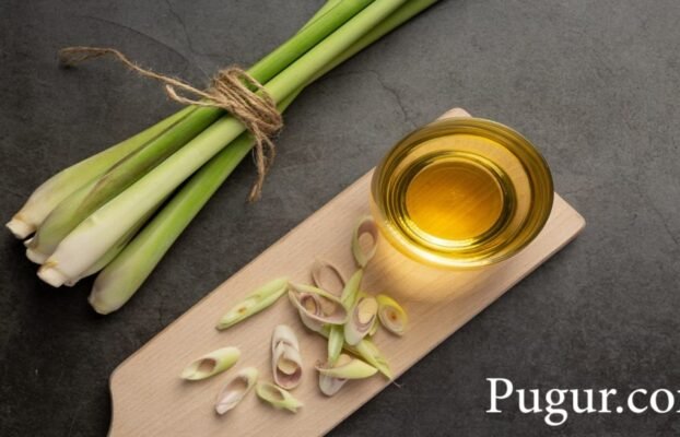 Pembuatan Minyak Serai Wangi dan Minyak Zaitun Campuran Herbal