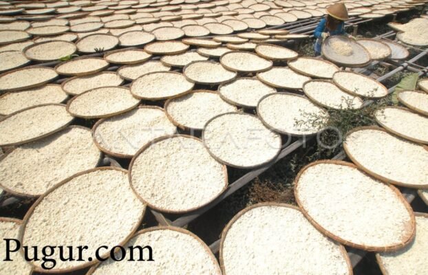 Produksi Tepung Pisang dan Tepung Singkong Instan: Inovasi Pangan Lokal Bernilai Ekonomi Tinggi