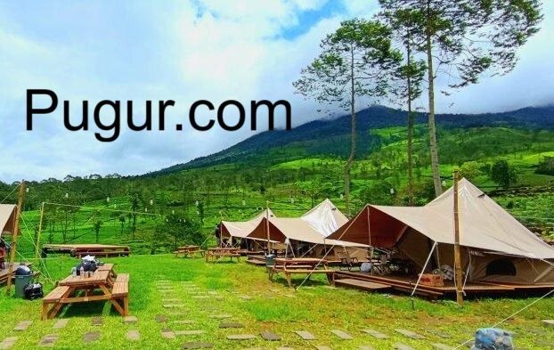 Kebun Camping (Agro-Camping): Tren Wisata Alam dan Edukasi Pertanian