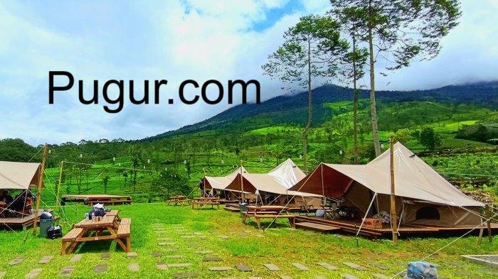 Kebun Camping (Agro-Camping): Tren Wisata Alam dan Edukasi Pertanian
