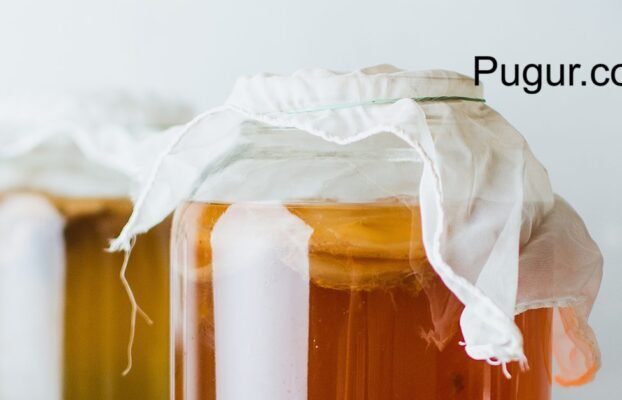 Usaha Minuman Fermentasi Lokal: Kombucha, Kefir, dan Tepache Tropis