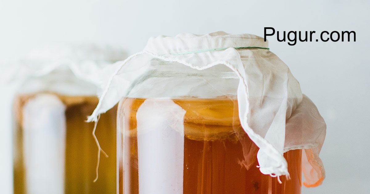 Usaha Minuman Fermentasi Lokal: Kombucha, Kefir, dan Tepache Tropis