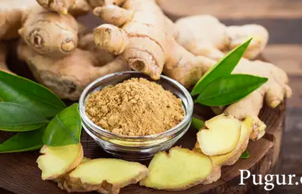 Usaha Minuman Serbuk Instan dari Jahe Merah dan Sereh: Peluang Bisnis Sehat yang Menguntungkan