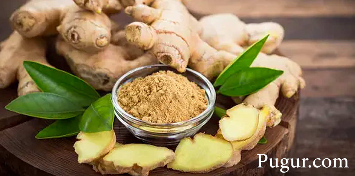 Usaha Minuman Serbuk Instan dari Jahe Merah dan Sereh: Peluang Bisnis Sehat yang Menguntungkan