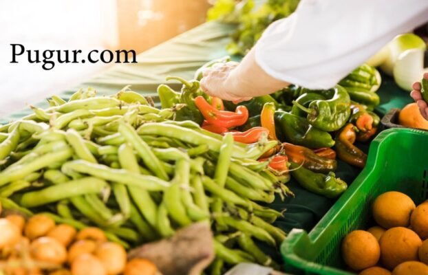 Peluang Usaha Real Jasa Antar Daging & Sayur Organik ke Rumah Pelanggan