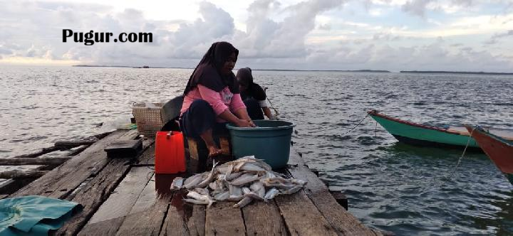 Inspiratif! Kisah Dua Nelayan Perempuan Maluku dan Papua Bangun Bisnis Olahan Ikan & Gerakkan Ekonomi Pesisir