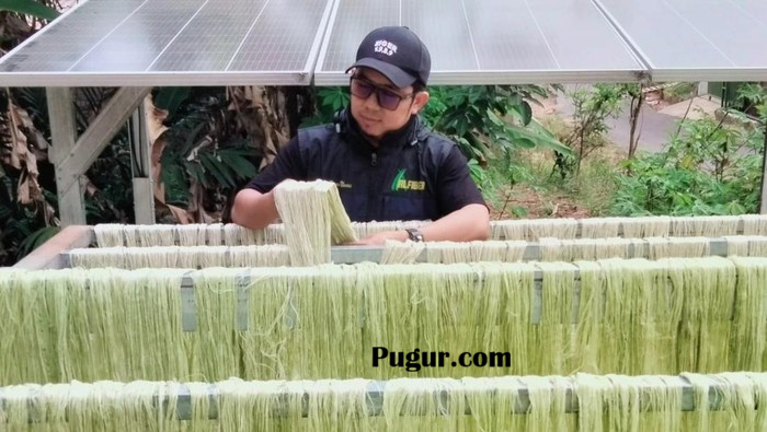 Transformasi Limbah Nanas Menjadi Peluang Bisnis Bernilai Tinggi hingga Menembus Pasar Ekspor