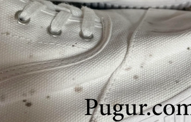 Produksi Anti Jamur Sepatu: Peluang Usaha Menjanjikan di Tengah Kebutuhan Sehari-hari