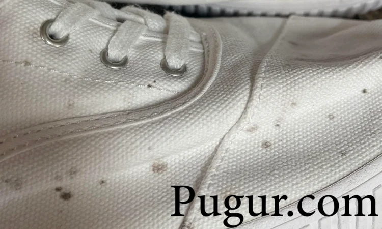 Produksi Anti Jamur Sepatu: Peluang Usaha Menjanjikan di Tengah Kebutuhan Sehari-hari