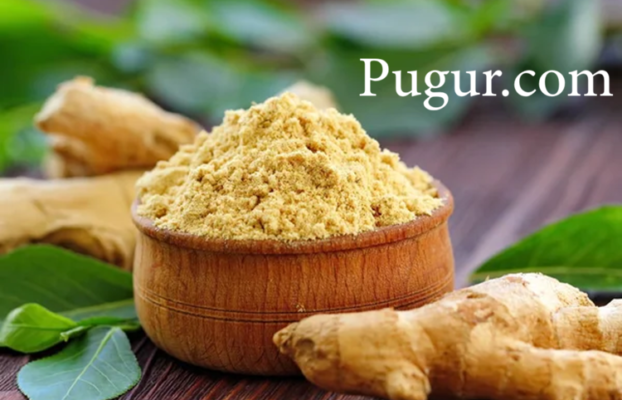 Produksi Serbuk Susu Jahe Instan: Peluang Usaha Minuman Sehat Bernilai Tinggi