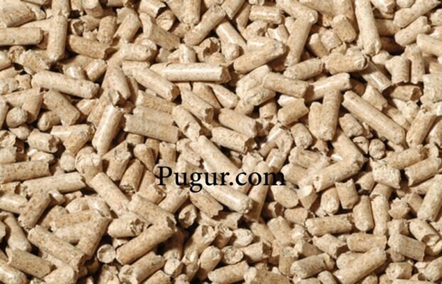 Produksi Pellet Kayu untuk Kucing: Peluang Usaha Ramah Lingkungan dengan Pasar yang Terus Berkembang
