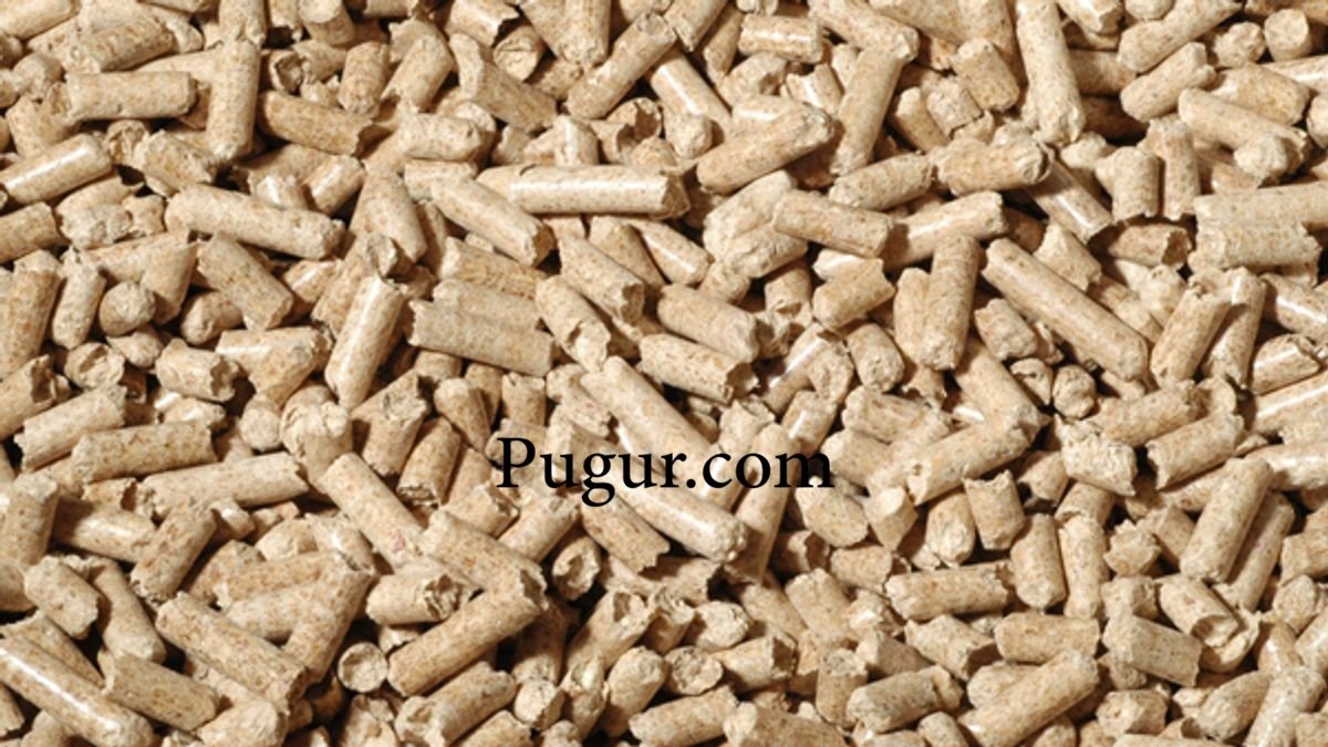 Produksi Pellet Kayu untuk Kucing: Peluang Usaha Ramah Lingkungan dengan Pasar yang Terus Berkembang