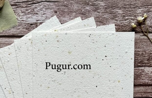 Produksi Kertas Bibit Tanam (Seed Paper): Peluang Usaha Kreatif Ramah Lingkungan yang Menjanjikan