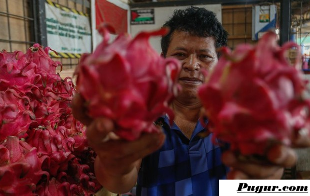 Kisah Mantan Tukang Kebun Jadi Juragan Buah: Peluang Usaha Buah Segar Omzet Puluhan Juta yang Bisa Ditiru Pemula