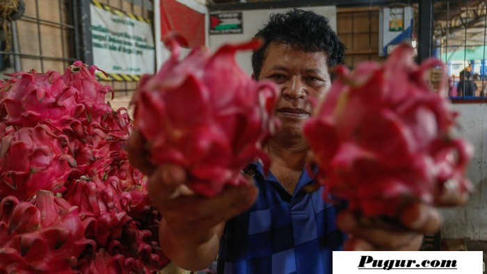 Kisah Mantan Tukang Kebun Jadi Juragan Buah: Peluang Usaha Buah Segar Omzet Puluhan Juta yang Bisa Ditiru Pemula