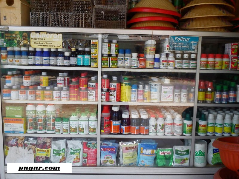 Peluang Menjadi Distributor Pertanian, Peternakan, dan Perkebunan di Desa: Modal, Keuntungan, dan Target Pasar Menjanjikan