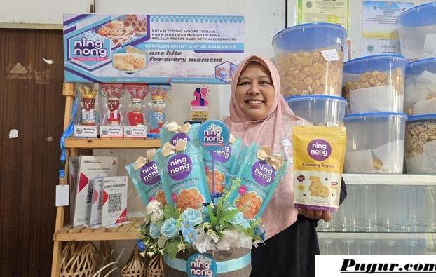 Peluang Usaha Kembang Goyang Gluten Free, Camilan Sehat Kekinian untuk Anak Autis dengan Omzet Menjanjikan
