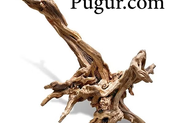 Produksi Kayu Apung Aquarium: Peluang Usaha Unik dengan Permintaan yang Terus Meningkat