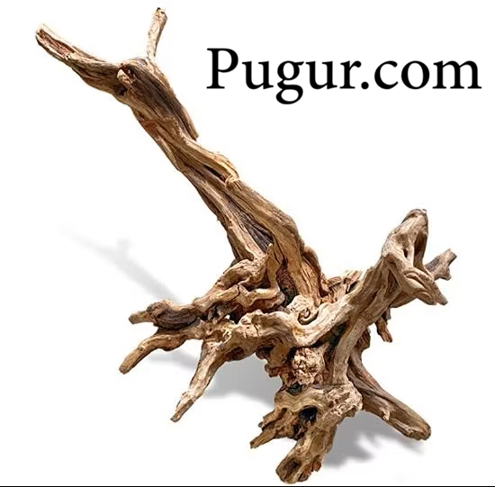 Produksi Kayu Apung Aquarium: Peluang Usaha Unik dengan Permintaan yang Terus Meningkat