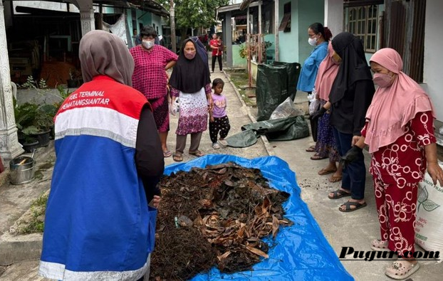Peluang Usaha Budidaya Ikan Nila Bioflok di Daerah Pesisir: Panen Setiap 4-6 Bulan, Modal Terjangkau dan Untung Menjanjikan