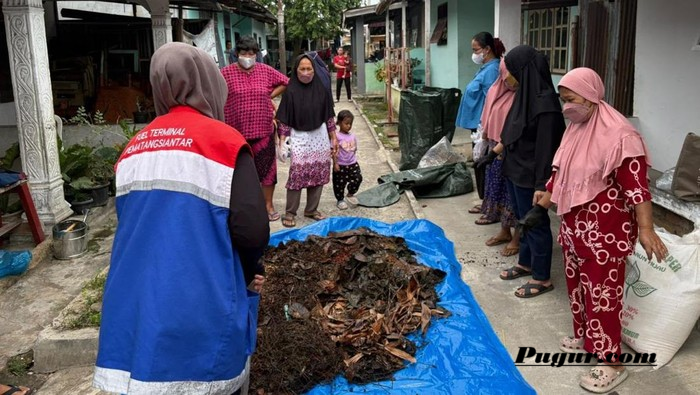 Peluang Usaha Budidaya Ikan Nila Bioflok di Daerah Pesisir: Panen Setiap 4-6 Bulan, Modal Terjangkau dan Untung Menjanjikan