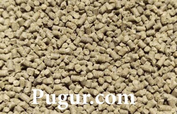 Produksi Pellet Udang Skala Rumahan: Peluang Usaha Menjanjikan di Tengah Meningkatnya Budidaya Udang