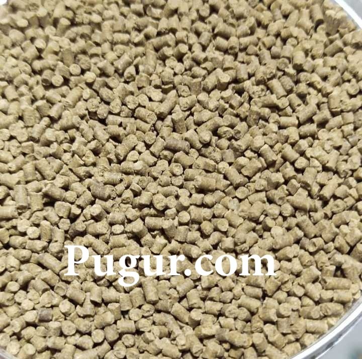 Produksi Pellet Udang Skala Rumahan: Peluang Usaha Menjanjikan di Tengah Meningkatnya Budidaya Udang