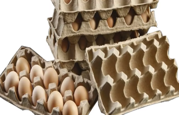 Produksi Egg Tray Kertas Daur Ulang: Peluang Usaha Ramah Lingkungan yang Menjanjikan