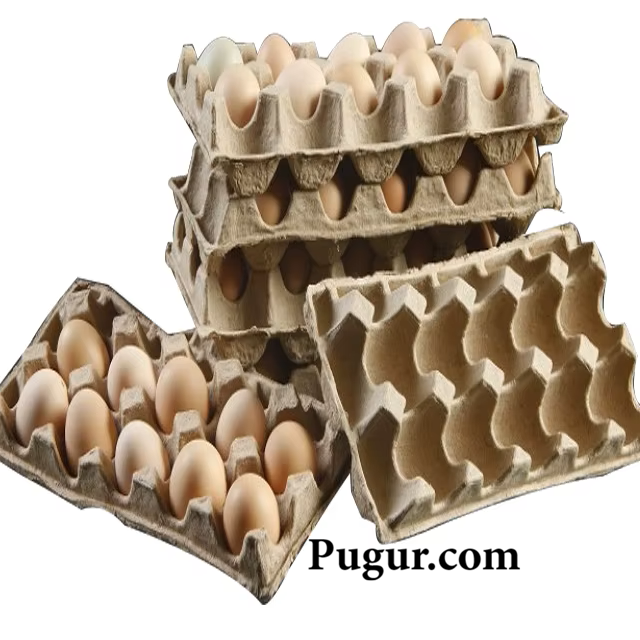 Produksi Egg Tray Kertas Daur Ulang: Peluang Usaha Ramah Lingkungan yang Menjanjikan 1 Hbdd5323cb8ec4a3a888d3a521b18e3eac