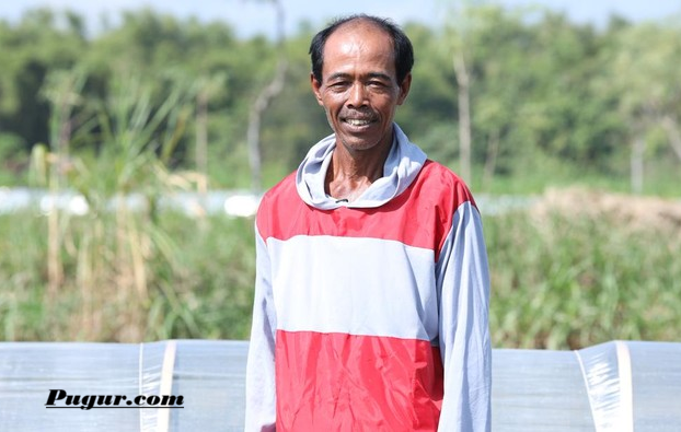 Kisah Sukses Paino, Petani Tembakau yang Berhasil Meningkatkan Penghasilan hingga Kuliahkan Anak, Inspirasi Peluang Usaha Pertanian
