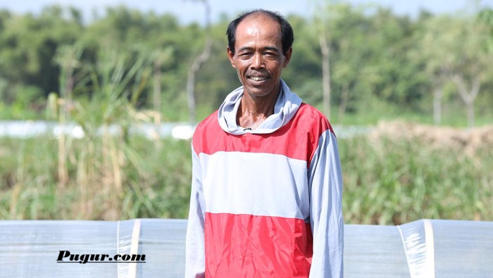 Kisah Sukses Paino, Petani Tembakau yang Berhasil Meningkatkan Penghasilan hingga Kuliahkan Anak, Inspirasi Peluang Usaha Pertanian 1 Kisah Sukses Paino Petani Tembakau yang Berhasil Meningkatkan Penghasilan hingga Kuliahkan Anak Inspirasi Peluang Usaha Pertanian