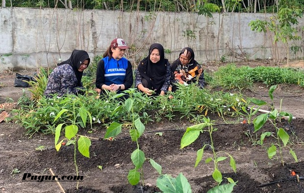 Peluang Usaha Produk Herbal dari Tanaman Obat, Modal Lokal Bisa Hasilkan Cuan Jutaan Rupiah