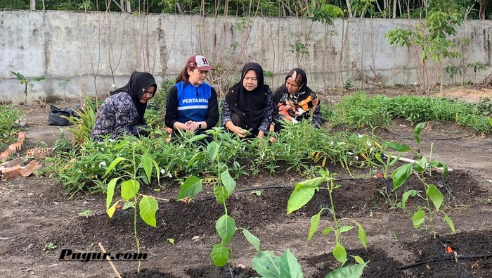 Peluang Usaha Produk Herbal dari Tanaman Obat, Modal Lokal Bisa Hasilkan Cuan Jutaan Rupiah