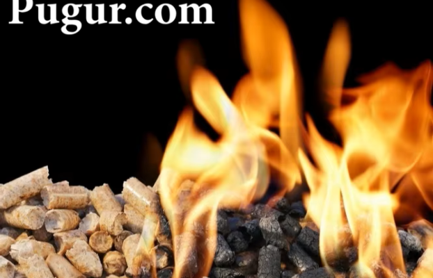 Produksi Pelet Kayu (Wood Pellet) untuk Bahan Bakar: Peluang Bisnis Ramah Lingkungan dengan Prospek Ekspor yang Cerah