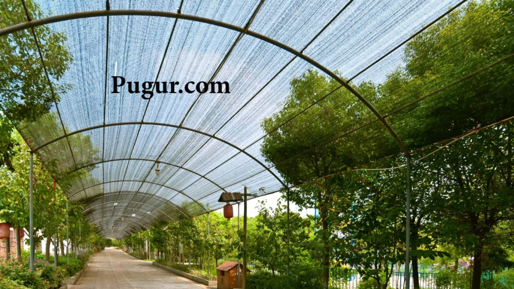 Produksi Jaring Peneduh Tanaman (Shade Net): Peluang Bisnis Menjanjikan di Era Pertanian Modern 1 bcb2877d76f01d965ae8469f17dc585621b9d5ff