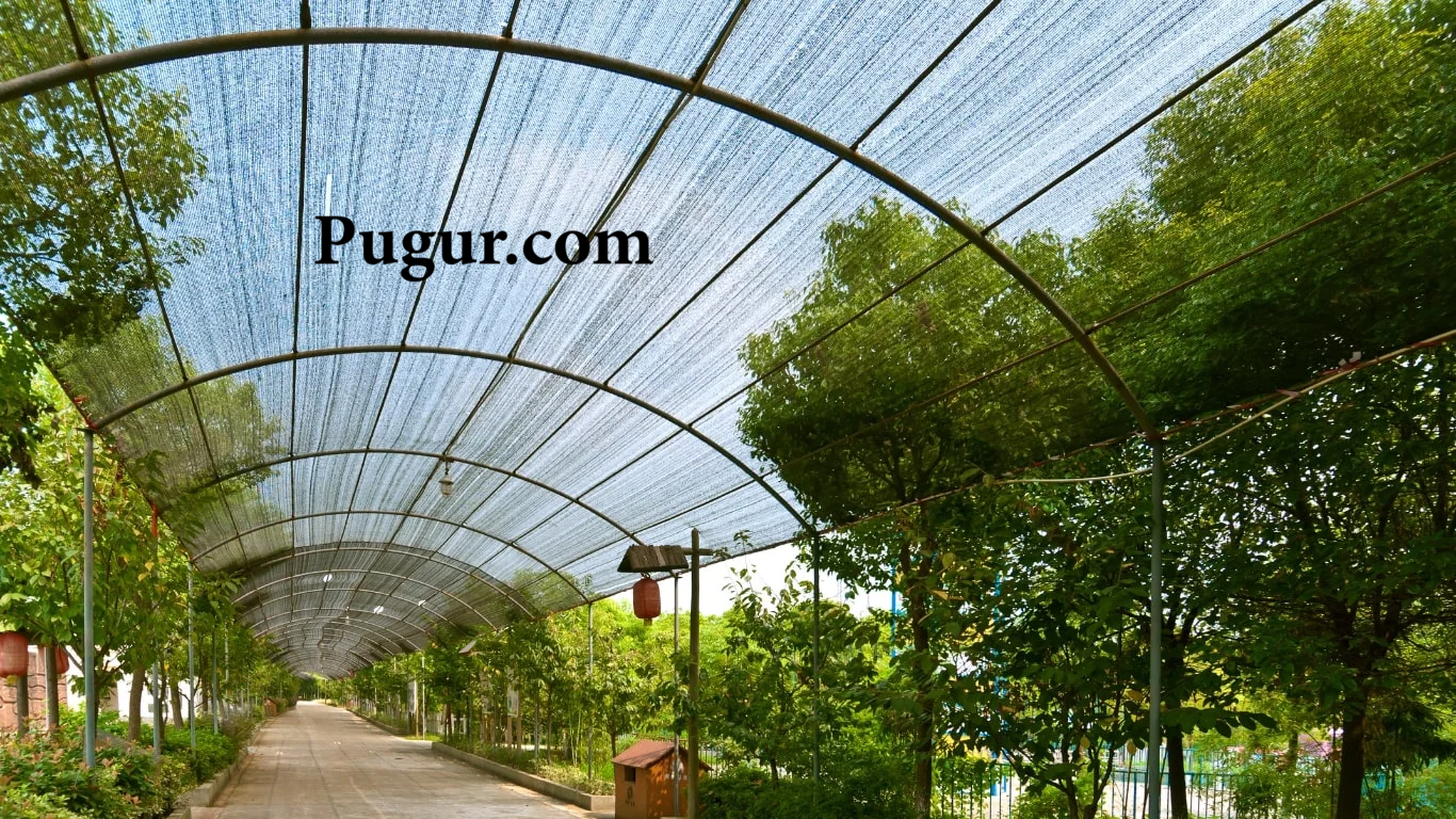 Produksi Jaring Peneduh Tanaman (Shade Net): Peluang Bisnis Menjanjikan di Era Pertanian Modern